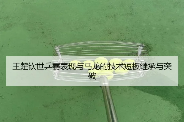 王楚钦世乒赛表现与马龙的技术短板继承与突破 | feisu